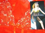 Wholesale China import supplier distributes Orange colored floral designed embroidery at top of transparent fabric, baby doll style camisole