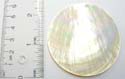 Creamy seashell fashion pendant motif in circular pattern