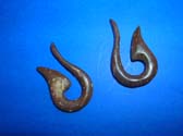 Curved horn shaped organic wood earrings