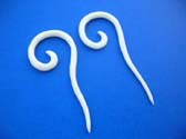 Elongated spiral earrings, crafted from organic bone in Indonesia
