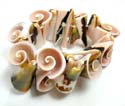 Fashion bracelet with multi spiral-shaped green seashell design